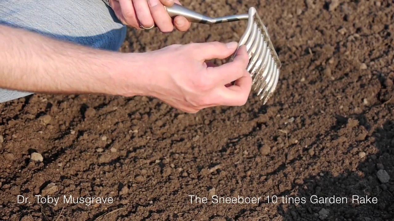 The Sneeboer  Zn 10 tines Garden Rake