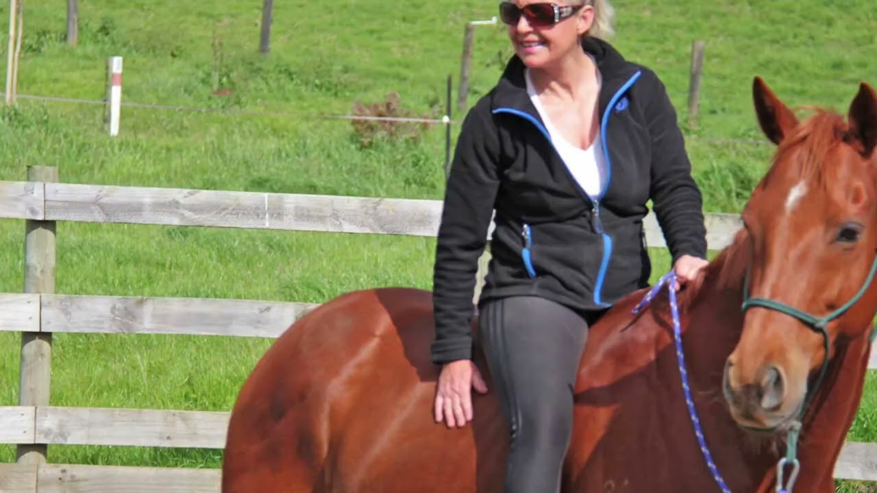 If you want results like this with your horse, contact us today to start your journey !