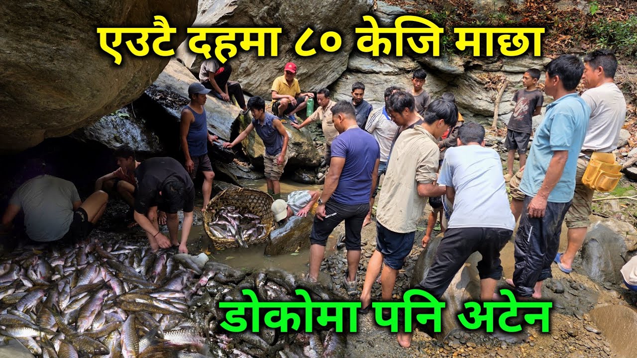 एउटै दहमा ८० केजी माछा | खोलाको किनारमा तीन दिन तीन रात माछा मार्दै रमाइलो | fishing cooking eating