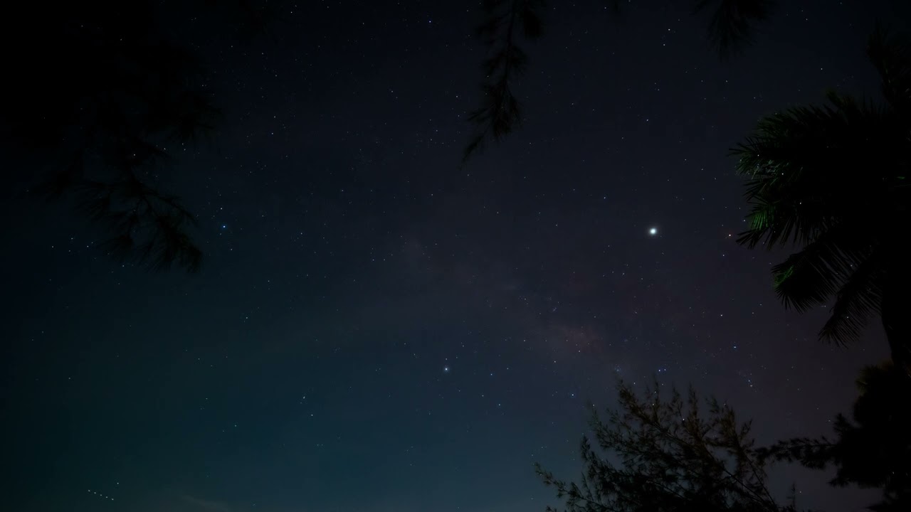 Cricket with the East Wind [ 4K Ultra ] | Galactic Night Space | 8 HOURS Nature Relaxing