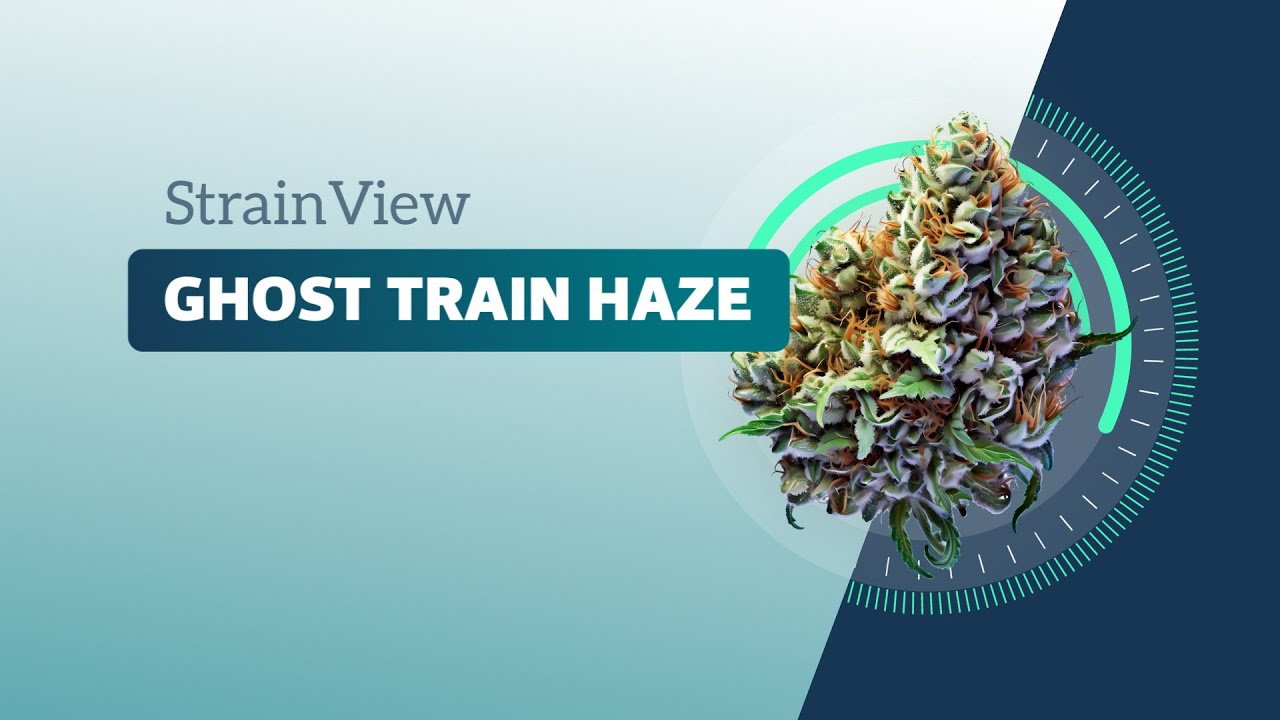 Ghost Train Haze - Strainview