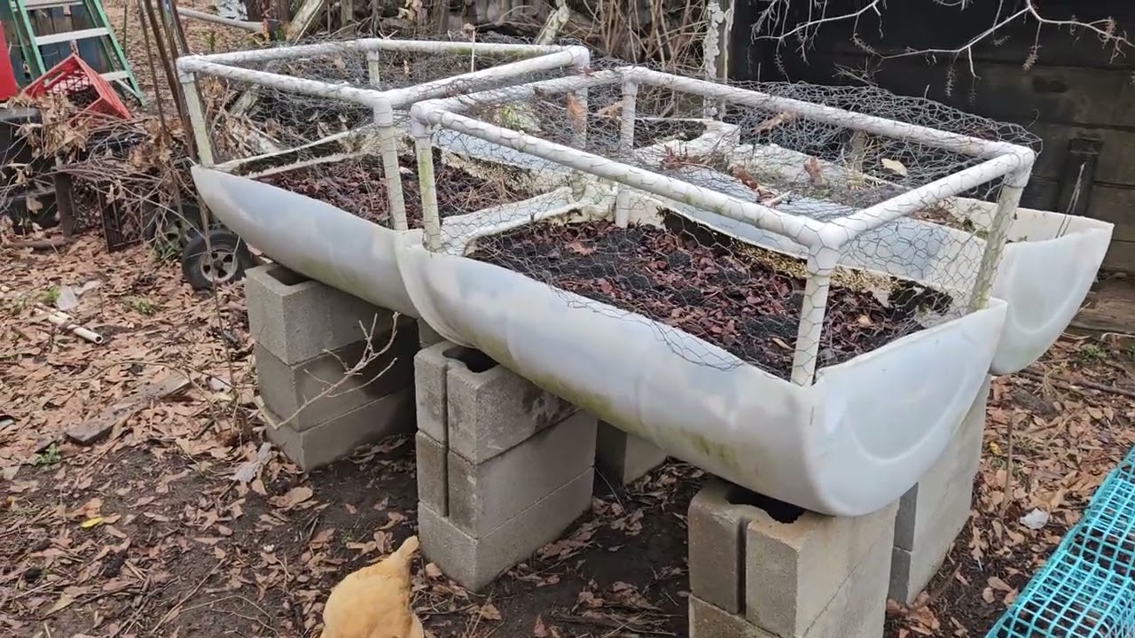 Contraptions for protected growing