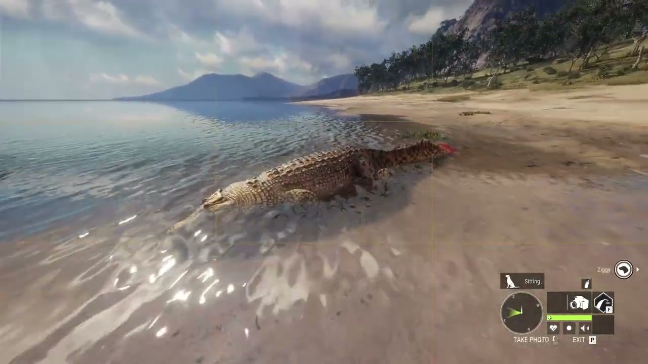 Leucistic Croc While Crew Grinding Crocs With My Friend