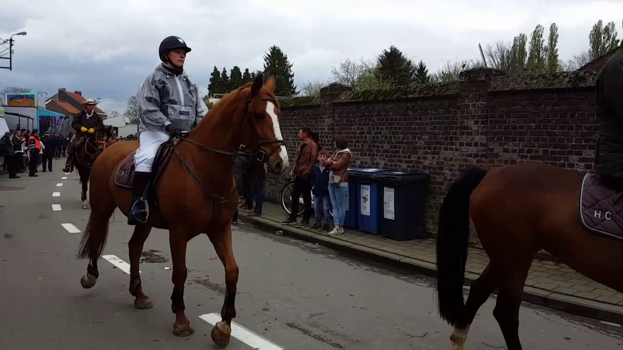 Paardenprocessie Hakendover 2017