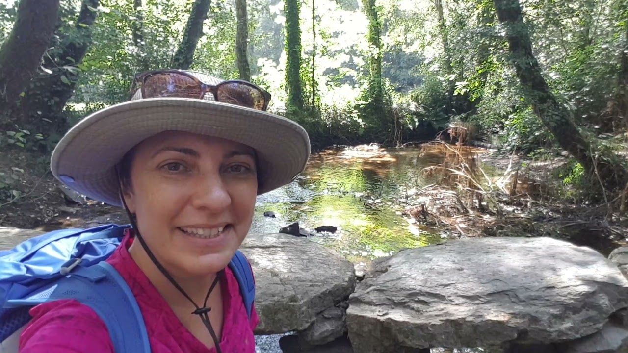 CAMINO DE SANTIAGO | CAMINO FRANCES | MELIDE | ARZ&Uacute;A