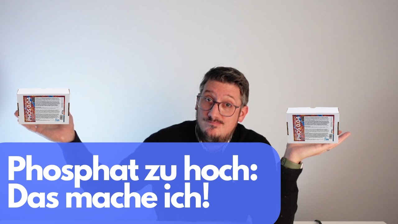 Phosphat zu hoch! Welchen PO4 Adsorber verwende ich jetzt und warum?