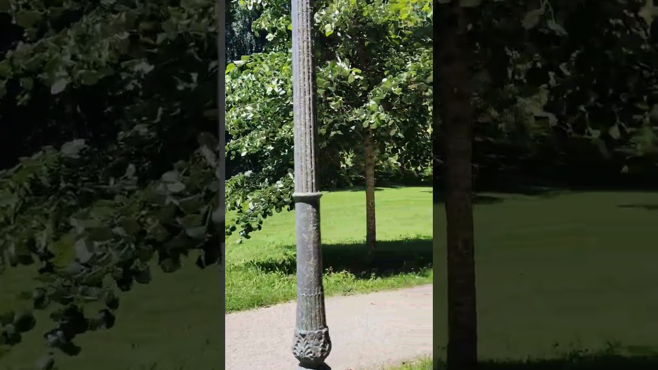 Парк. Баден-Баден.25.06.2024.#германия #баденбаден #shorts #travel #badenwuerttemberg #relax #park