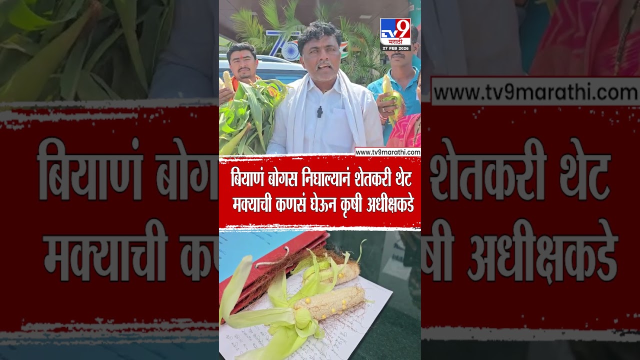 Jalna Farmer Issue | बियाणं बोगस निघाल्यानं शेतकरी थेट मक्याची कणसं घेऊन कृषी अधीक्षकडे