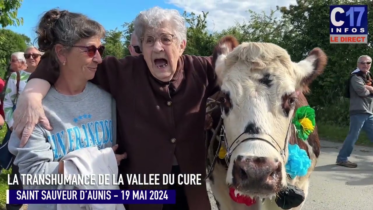 LA TRANSHUMANCE DE LA VALLÉE DU CURÉ 19 MAI 2024