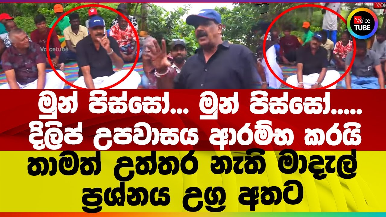 මුන් පිස්සෝ. මුන් පිස්සෝ.. I දිලිප් උපවාසය ආරම්භ කරයි I තාමත් උත්තර නැති මාදැල් ප්‍රශ්නය උග්‍ර අතට