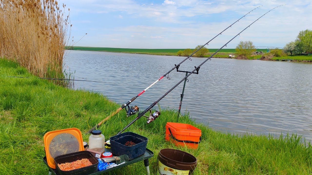 Pescuit la feeder  într-o  locație semi-sălbatică