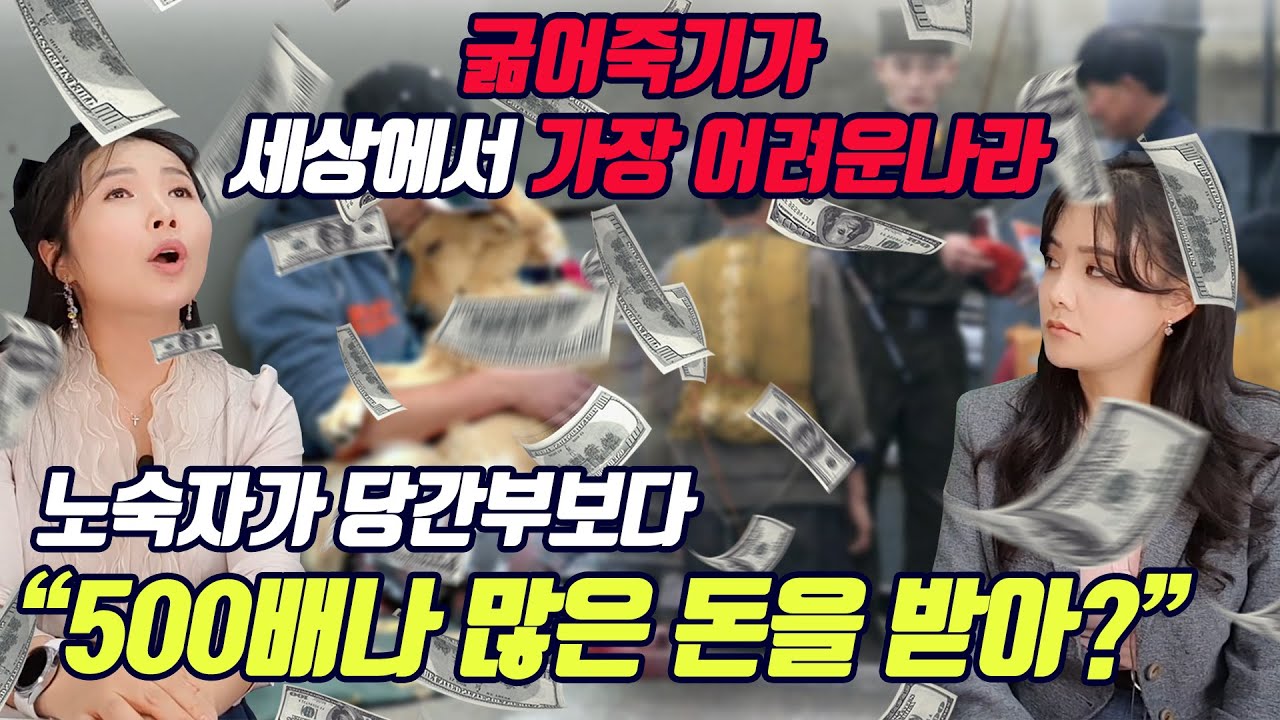 굶어죽기가 세상에서 가장 어려운 나라! 노숙자가 당간부보다 500배나 많은 돈을 받는다고? @정유나 One Korea