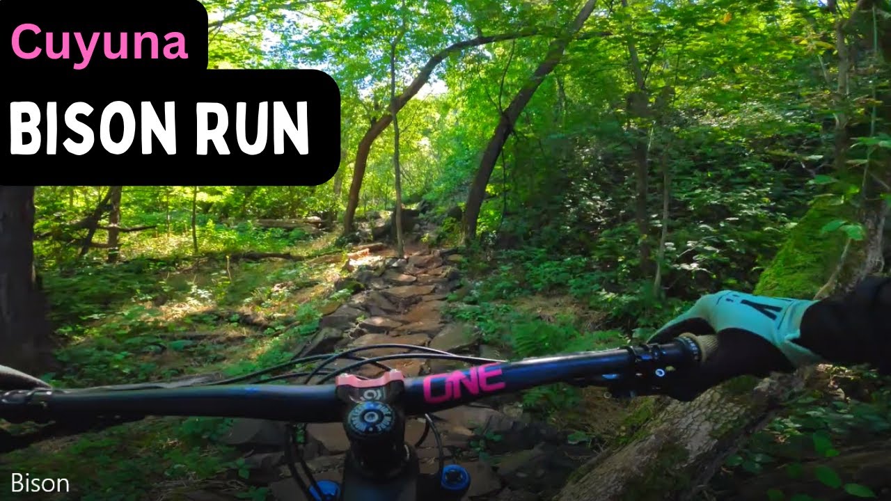 Bison Run | Cuyuna Minnesota