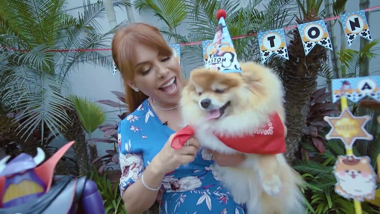 Celebramos el cumple de Aston 🤩 🥳 🐶