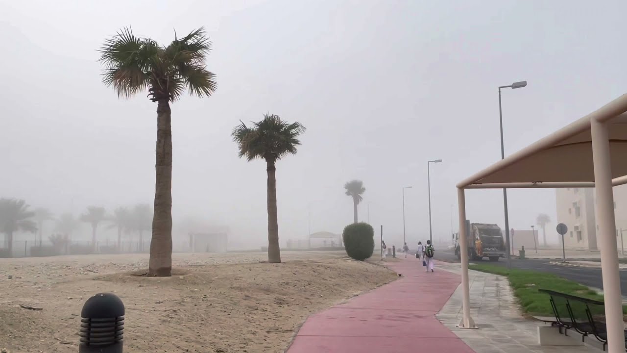 SMOG OR FOG? | Jeara's Vlog