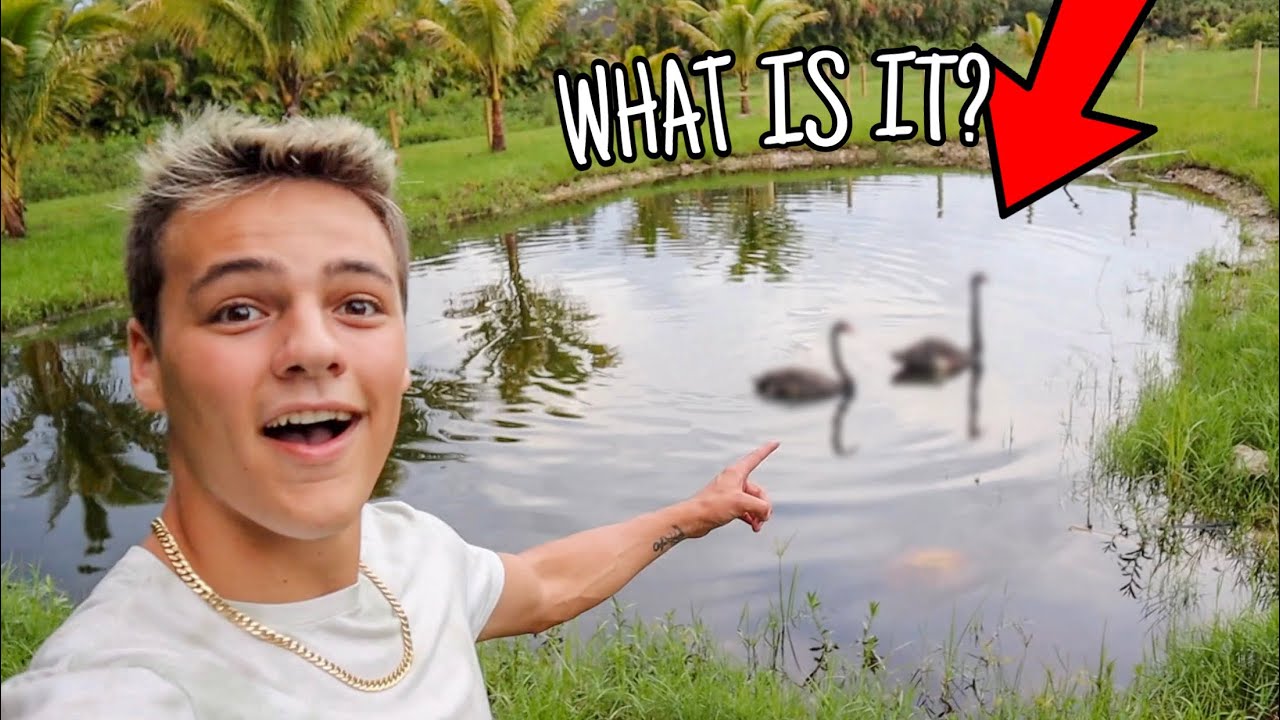 BUYING RARE BIRDS for My NEW POND!!