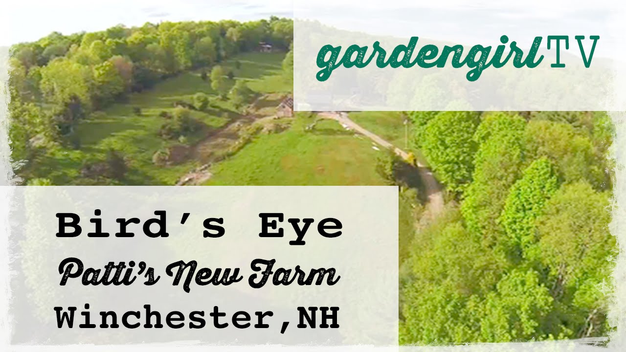 Bird's Eye View of Patti's New Farm
