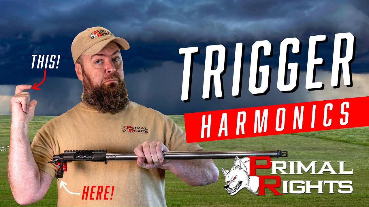 Trigger Harmonics