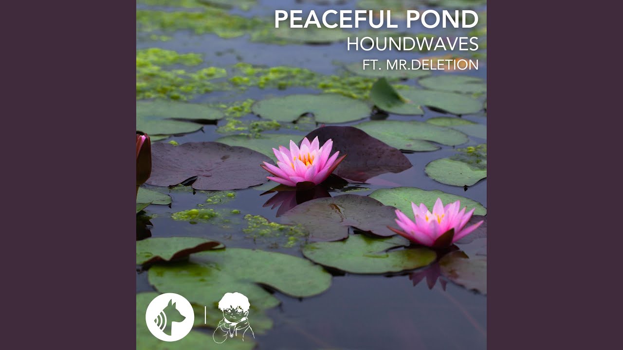 peaceful pond (feat. Mr.deletion)