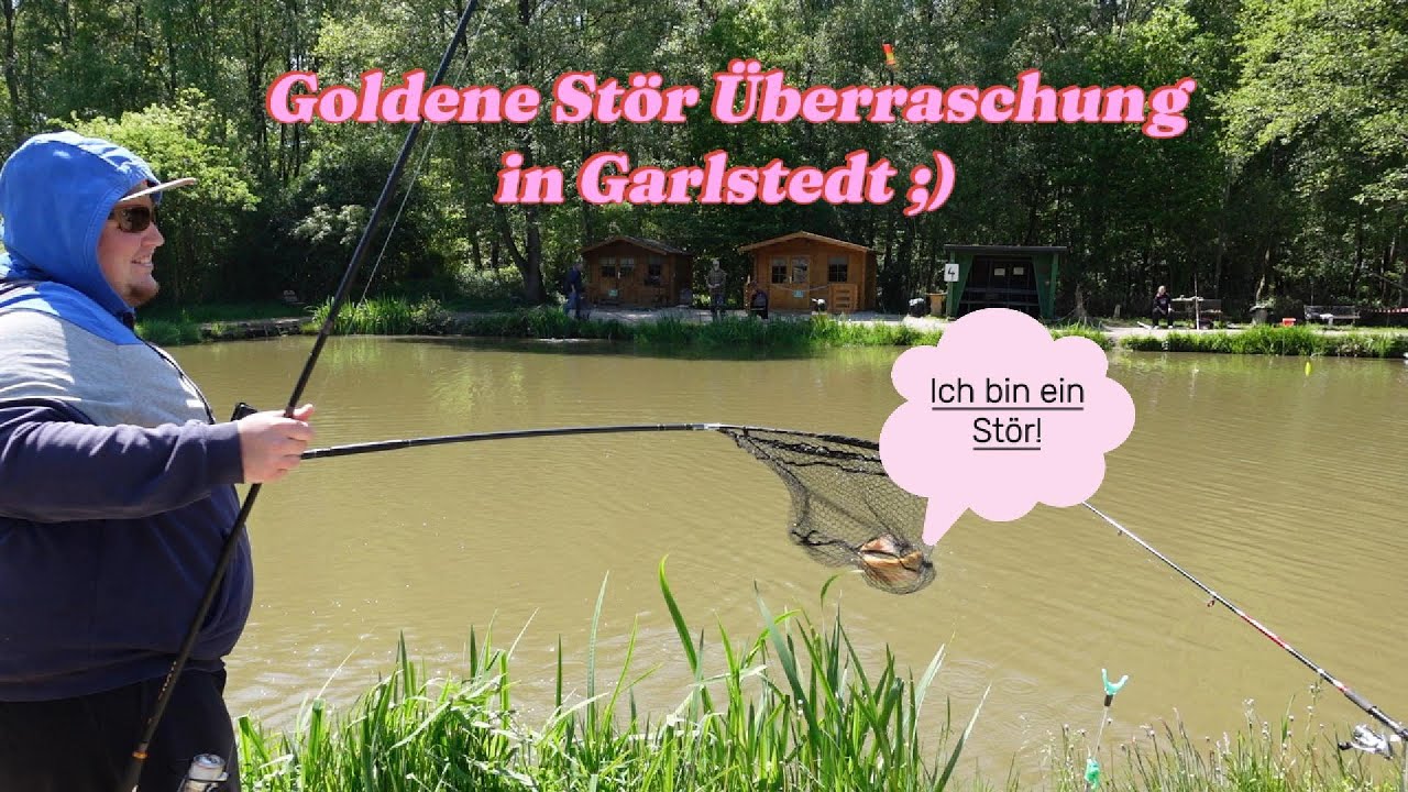 Forellen und Störangeln an der Garlstedter Fischzucht. Unverhofft kommt oft Überraschung auf Stör!