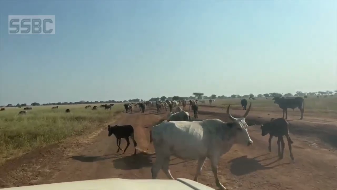 Exploring the beautiful towns of Yida and Parieng in the Ruweng Administrative Area - South Sudan