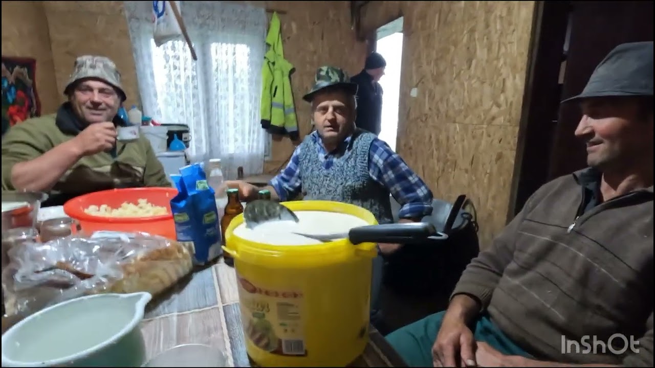 Stana Baciului Avacum din Ilva Mică .Bistrita -Cum se Face Brânza la Munte .🏔️ 