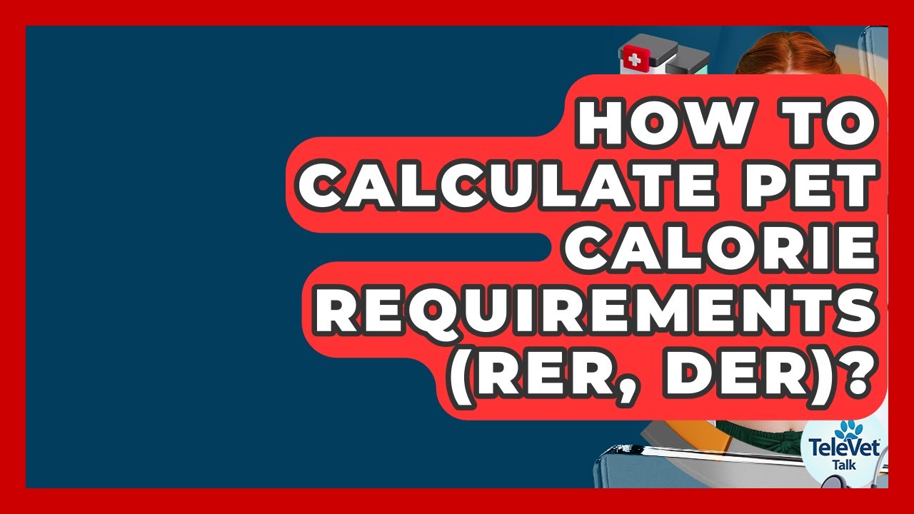 How To Calculate Pet Calorie Requirements (RER, DER)? - TeleVet Talk