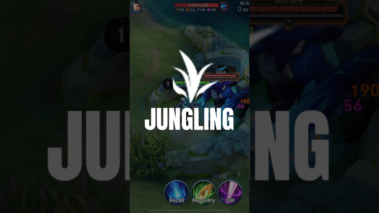 Honor of Kings Jungling Basics Guide #hok