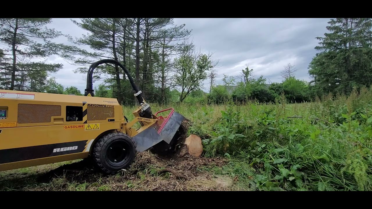 grinding a stump with RAYCO RG80