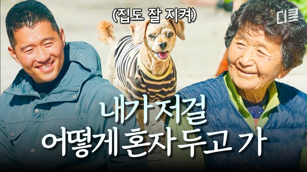 견주들 눈물 주의💧 반려견과의 이별을 상상하기 힘든 할머니...😭 #고독한훈련사