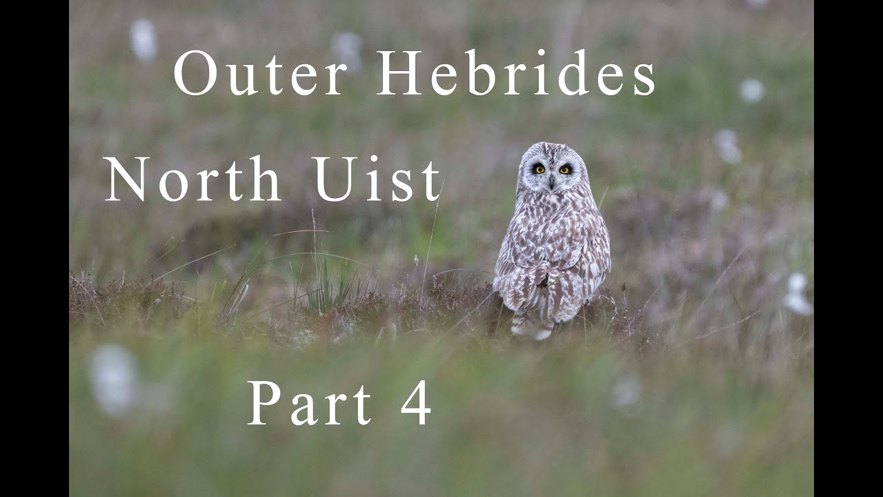 Wildlife Photography | VLOG – Part 4 | North Uist, Outer Hebrides, Scotland, UK | 2024