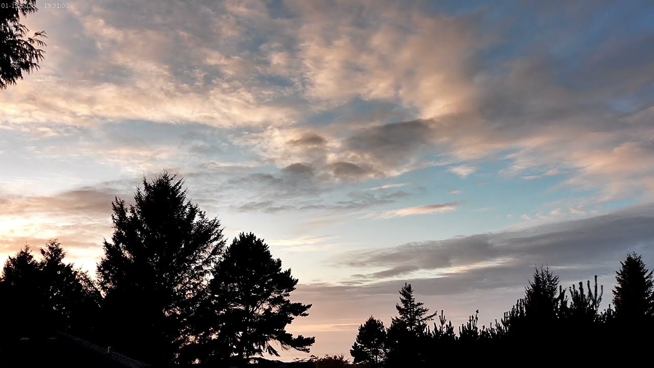 🐇🌅 White Pink Blue Sunset Over Ocean w Birds Set to Ocean Water Tracks FT Deer!🧿