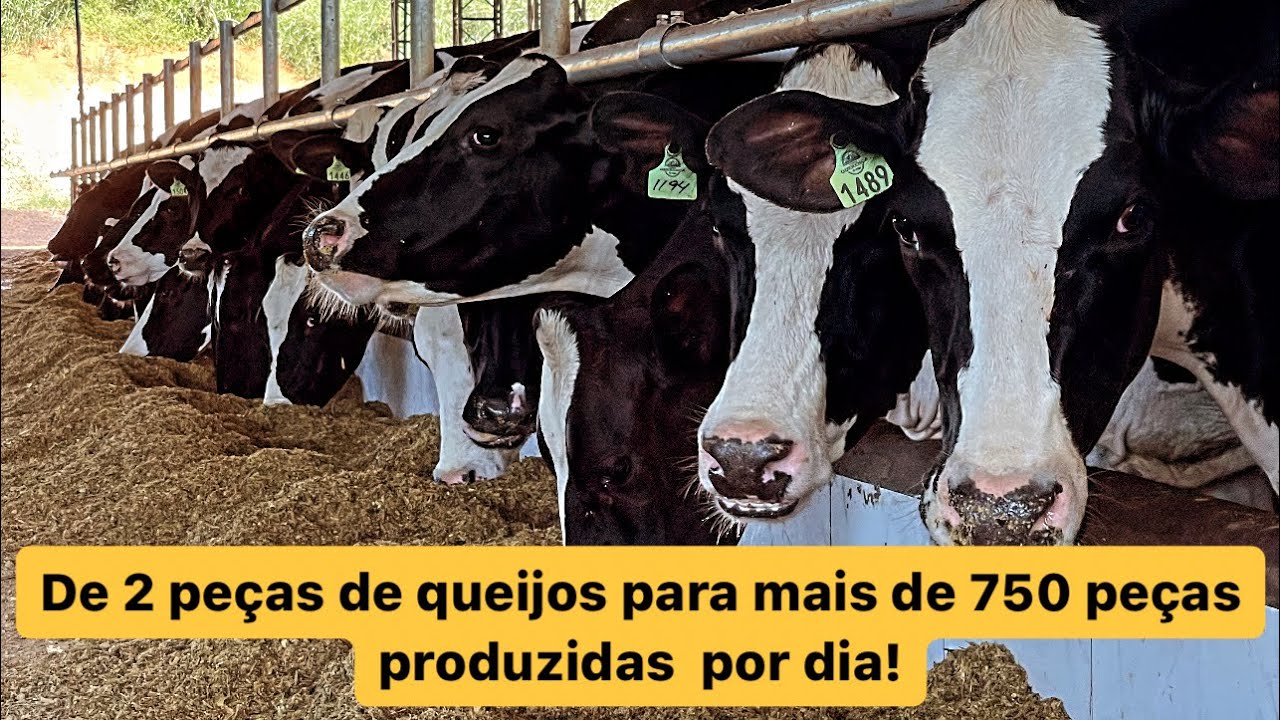 Conhecendo a história da Fazenda Querença! Mais de 50 anos na atividade, de pai para os filhos!