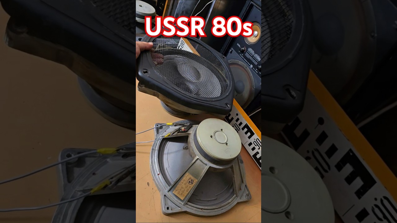80s Vintage USSR BASS SPEAKERS 12 inch - Old BUDGET SPEAKERS For Sale