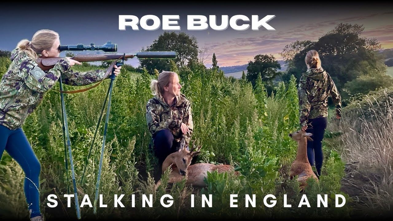 Roe Buck Stalking England | Female UK Deer Stalker | Roe Deer Hunting