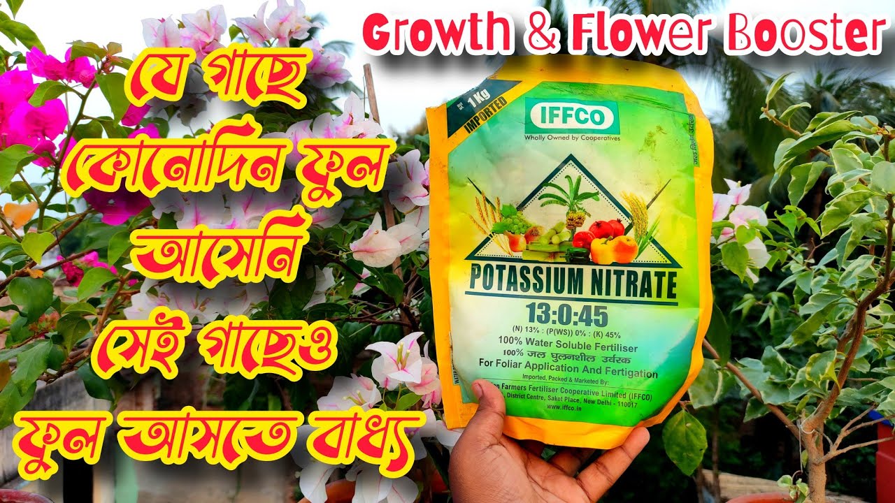 Potassium Nitrate | Npk Fertilizer | 13-0-45 | WATER SOLUBLE FERTILIZERS | পটাশিয়াম নাইট্রেট সার