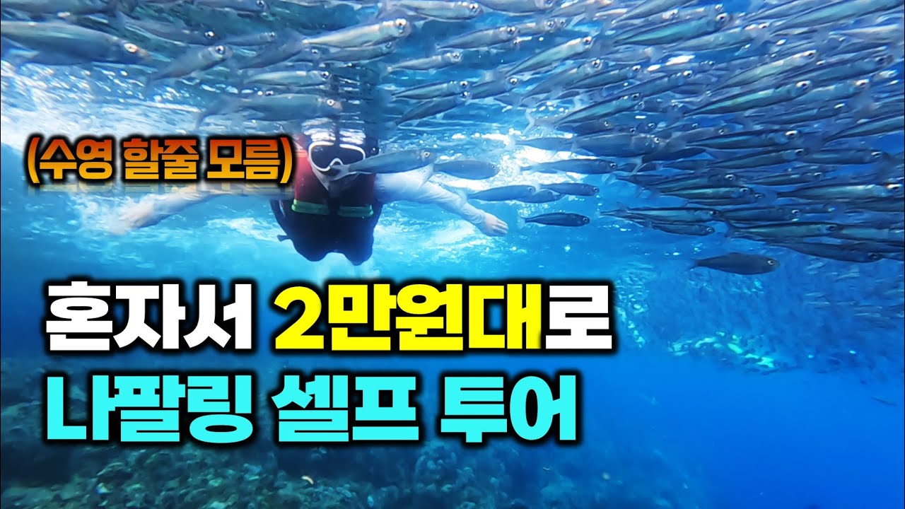 🇵🇭 보홀 정어리떼 나팔링, 히낙다난 동굴 필수 투어 혼자서 2만원대 셀프로 다녀오기 - 필리핀 한달 여행 [15]