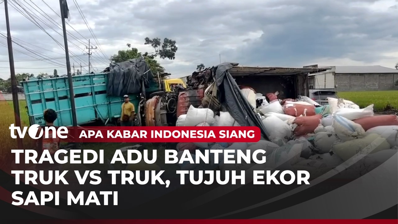 Truk Terpental ke Sungai 7 Ekor Sapi Mati di TKP | AKIS tvOne