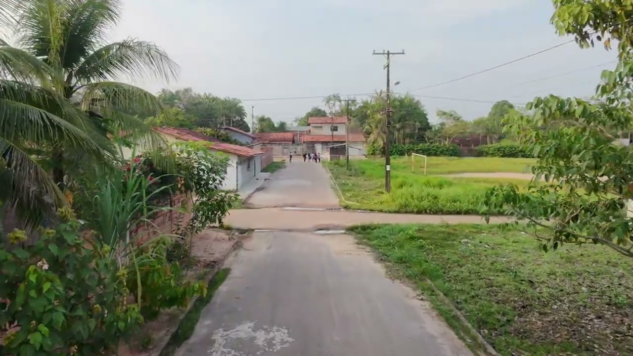 #drone Ataque de Pássaros DJI NEO#djineo