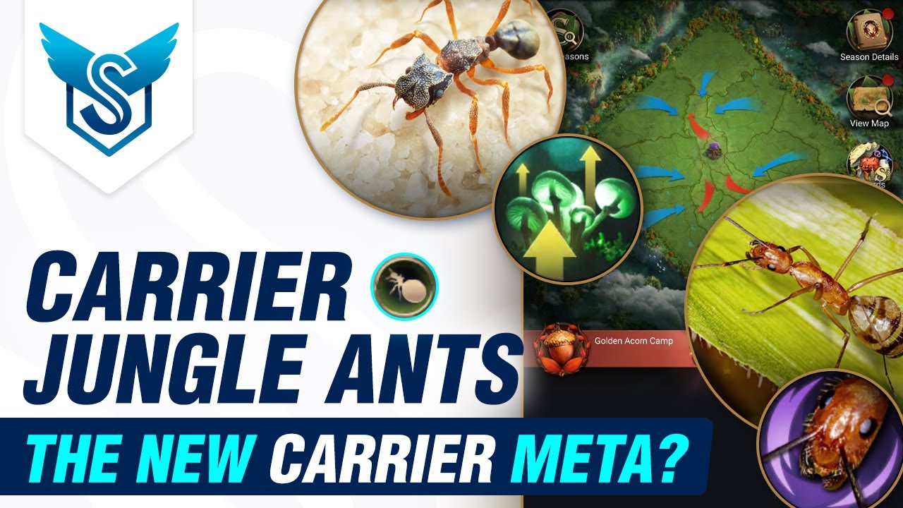 Перевозчик Jungle Ants: Новая мета-перевозка - The Ants Underground Kingdom [EN]