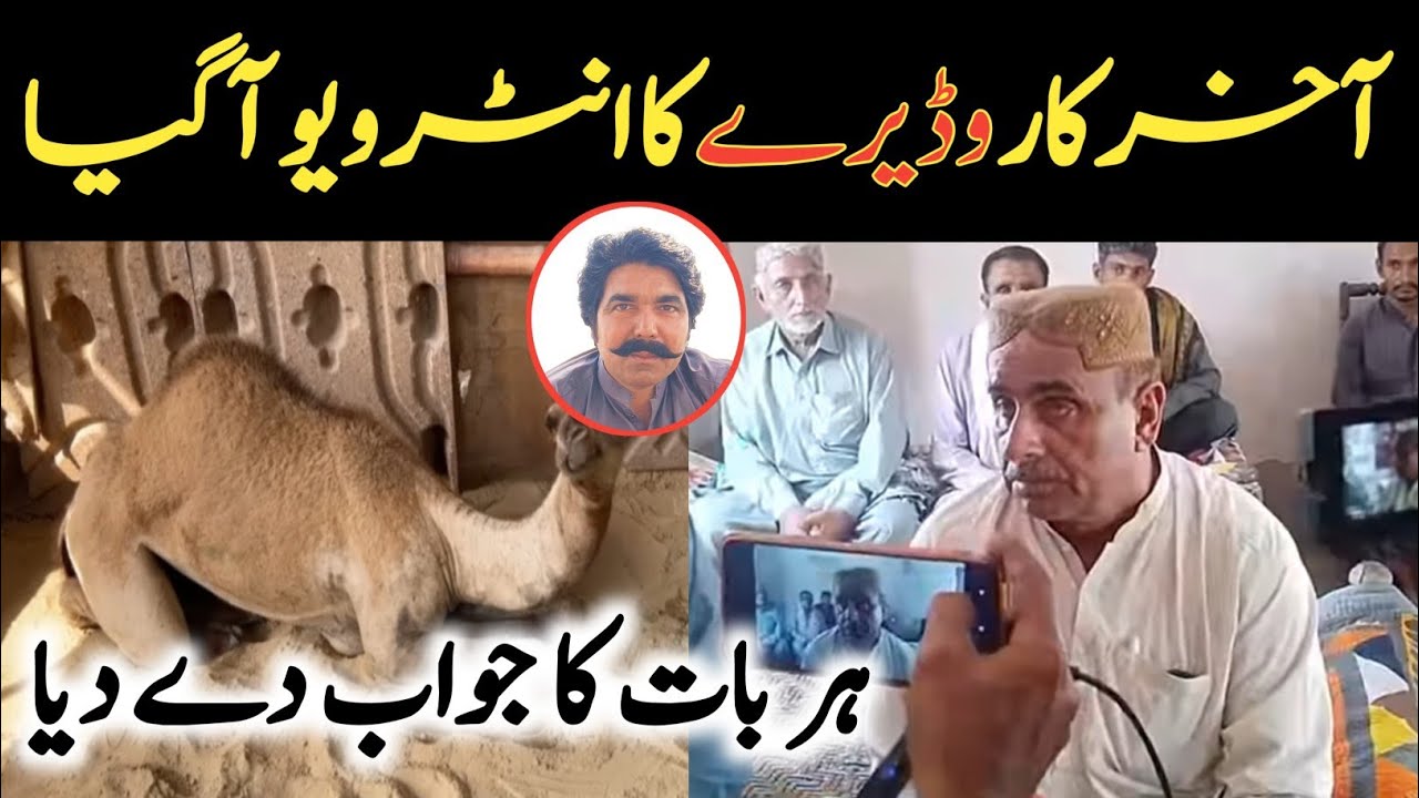 وڈیرے غلام رسول شر کا انٹرویو آگیا 😳 || Wadera Ghulam Rasool Shar Interview || Camel Viral Video