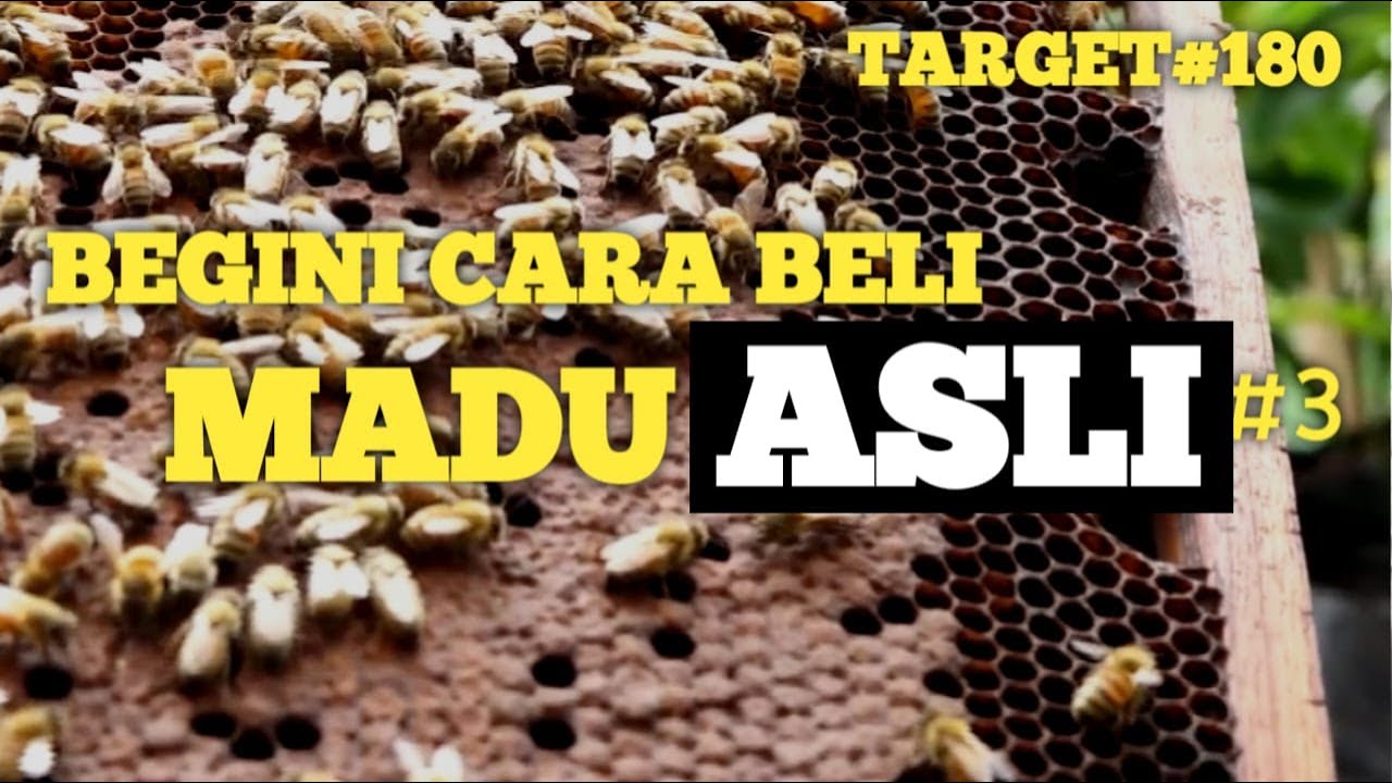 Begini Cara Membeli Madu Asli | Target (3)