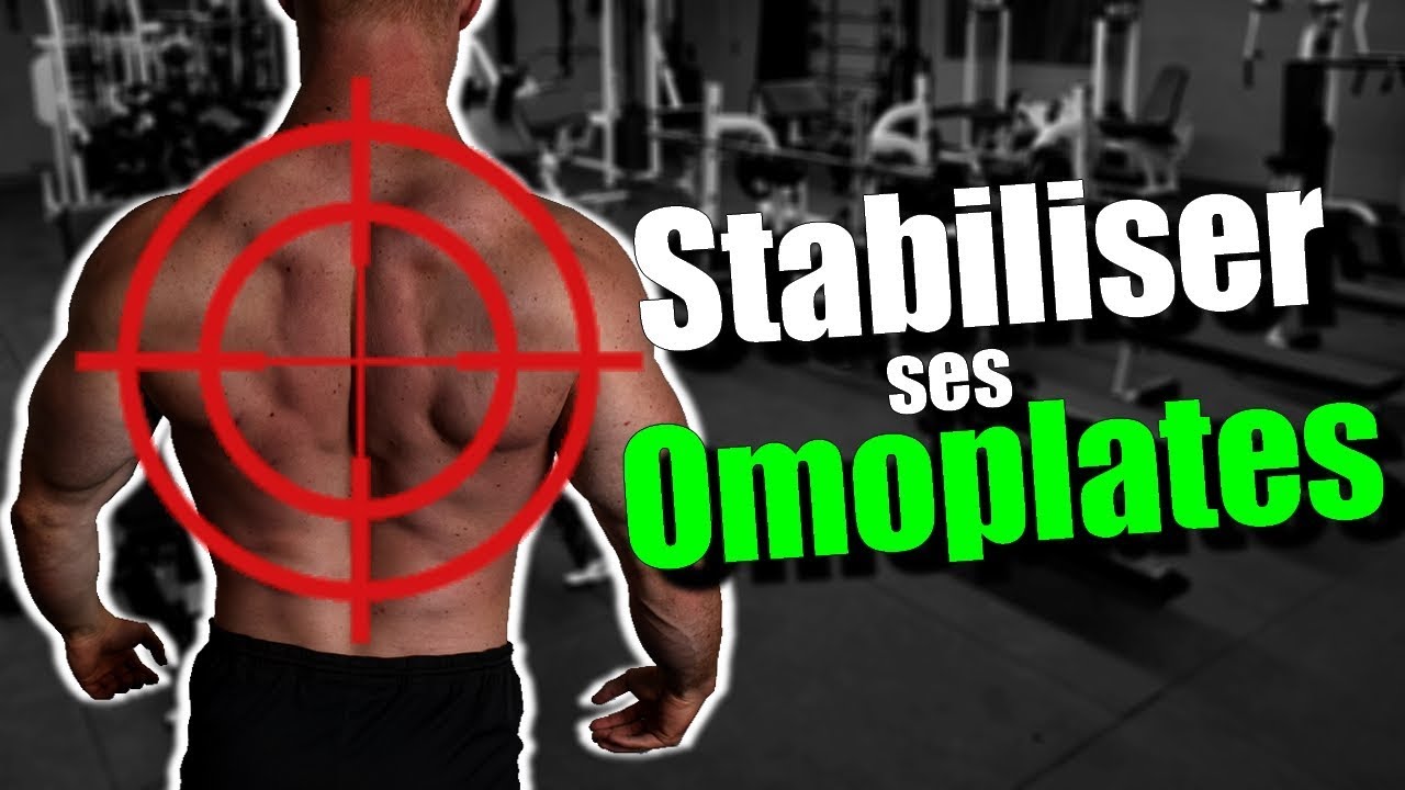 FIXER ses OMOPLATES pour la FORCE et la POSTURE (tu DOIS le faire!!!)