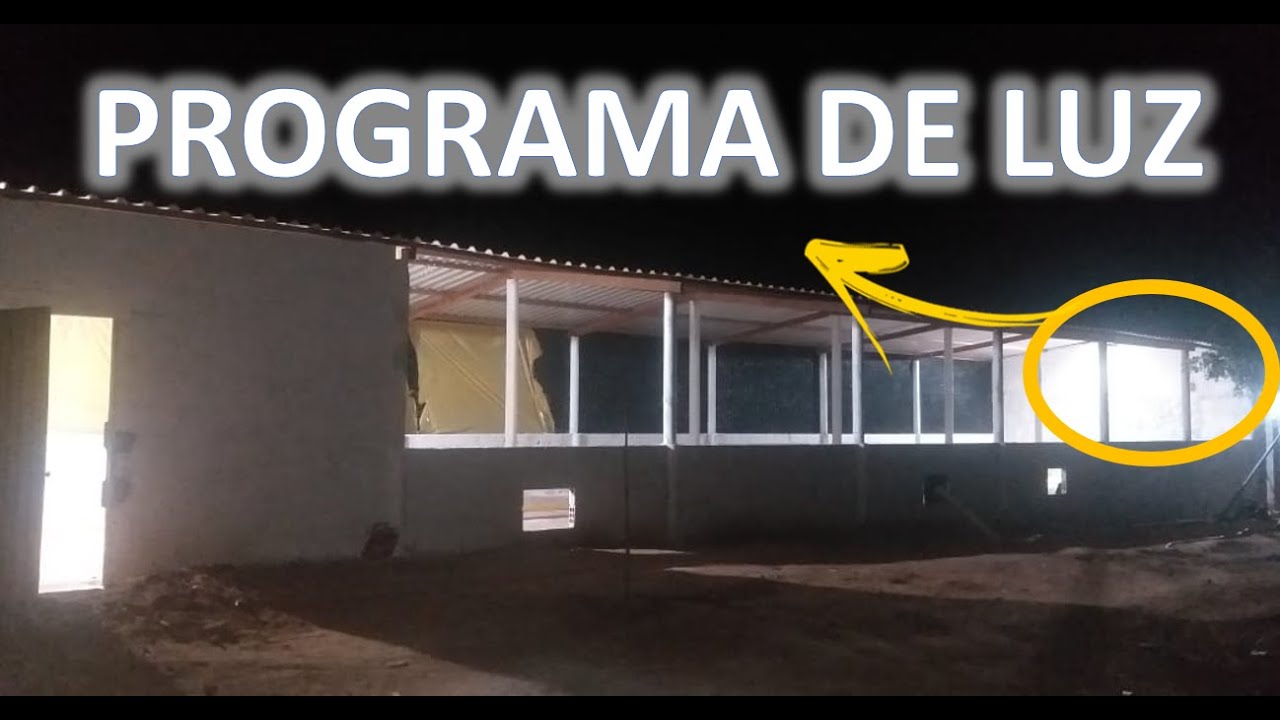 PROGRAMA DE LUZ - AVICULTURA DE POSTURA