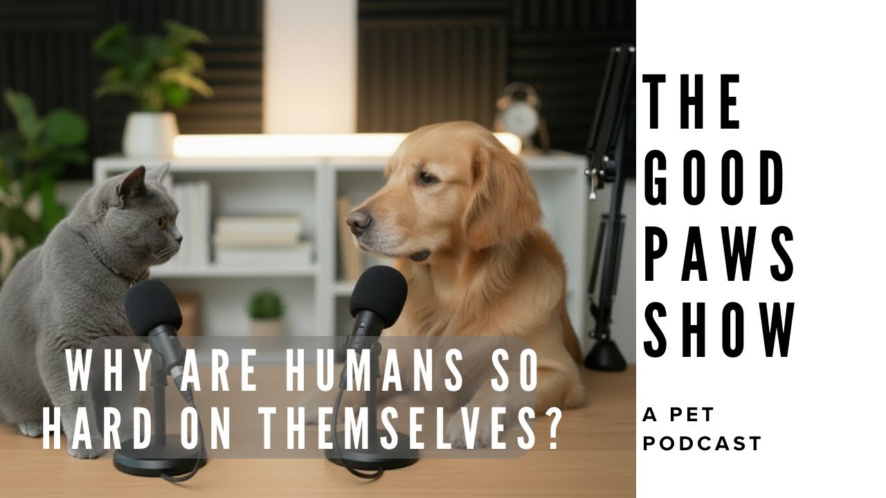 Почему мы так строги к себе (и как это перестать делать) | Шоу «Хорошие лапки» (подкаст о домашни...