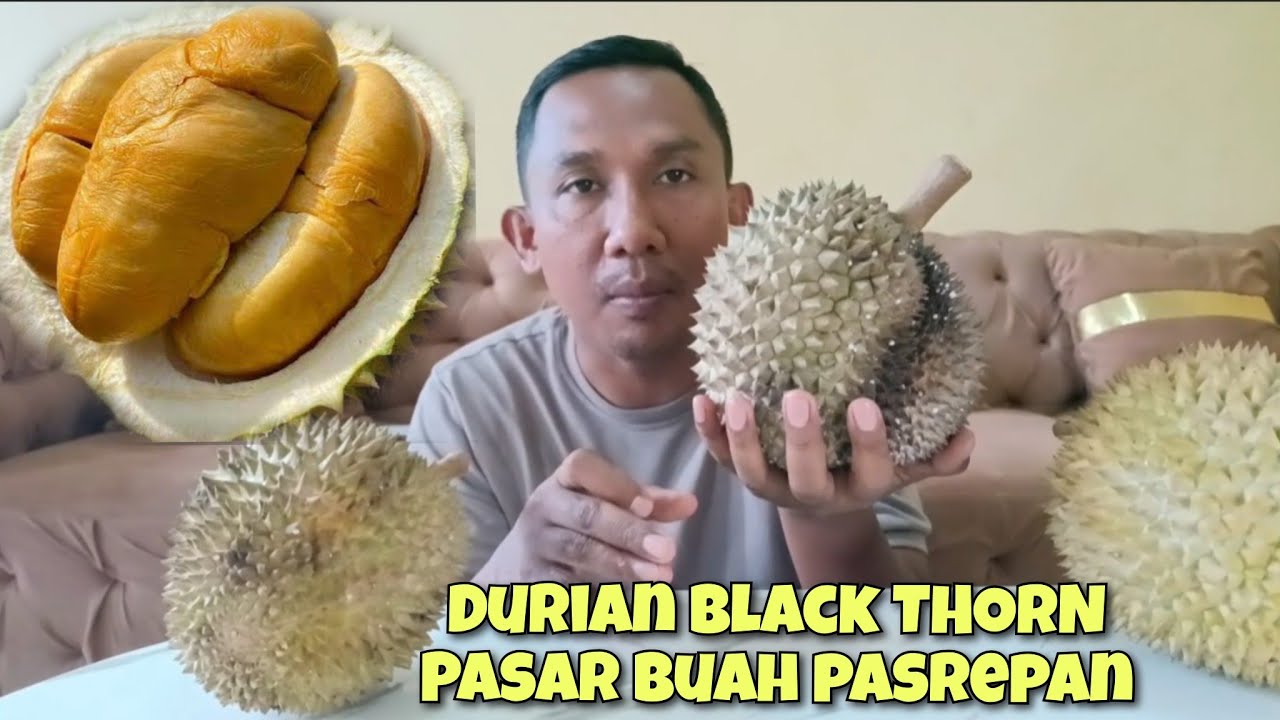 TERNYATA DI PASAR BUAH PASREPAN ADA YANG JUAL DURIAN BLACK THORN DARI DESA AMPEL SARI murah meriah