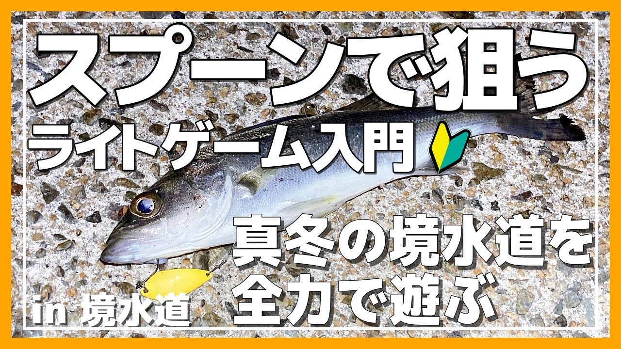 スプーンで狙うライトゲーム！真冬の境水道を全力で遊ぶ！！