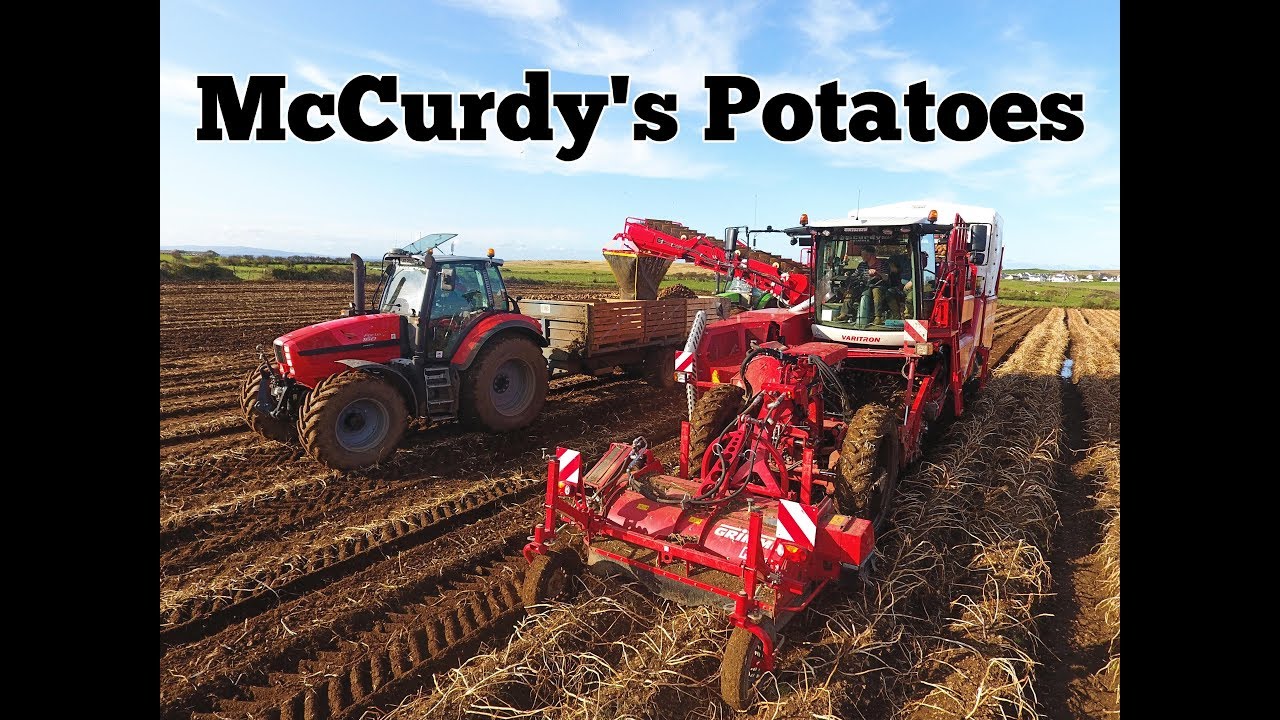 McCurdys Potatoes - Digging Spuds 2019