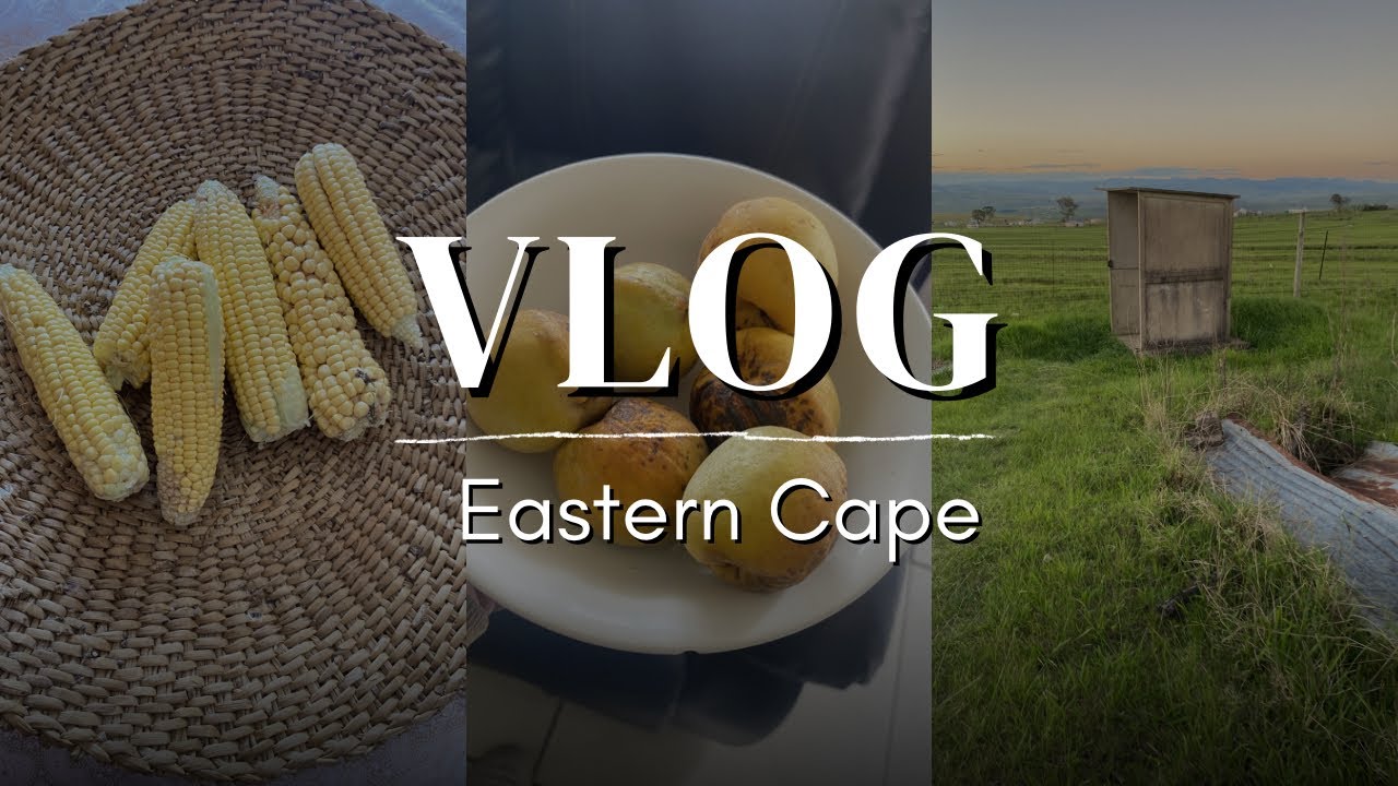 Raw Eastern Cape vlog part 2 || Deep cleaning || Home reset and more #vlog #fyp #ezilalini