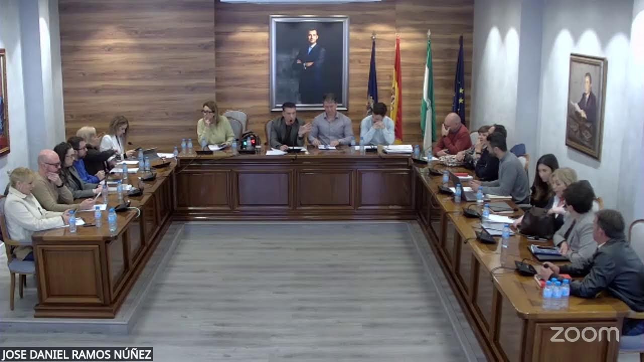 Pleno ordinario febrero 2026